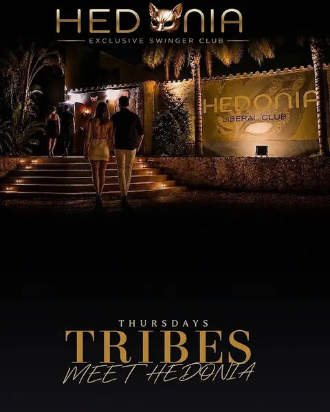 Cartel Tribes Meet Hedonia